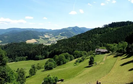 Black Forest Day Tour