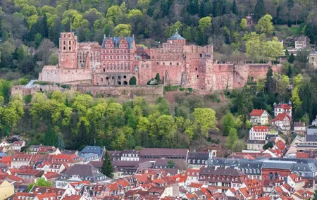 Heidelberg Highlights Private walking Tour with a Local Guide