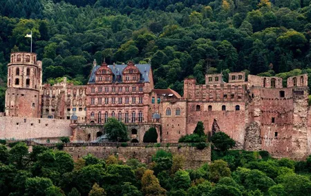 Heidelberg Public Walking Tour With A Professional Guide