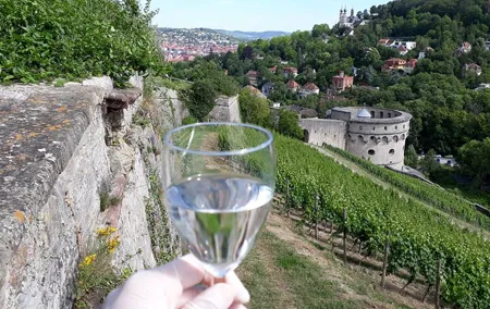 Wine rally in Würzburg with tasting