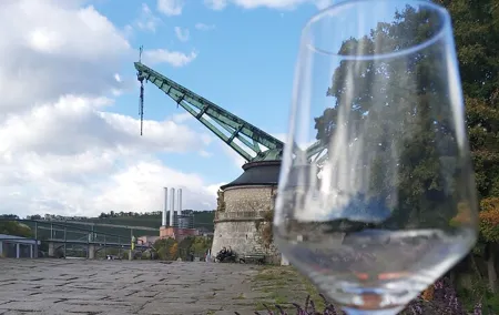 Private city rally in Würzburg including wine tasting