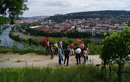 Exclusive wine hike with wine + group experience Würzburg