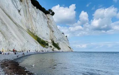 Møns klint and The Forest tower - A day tour from Copenhagen