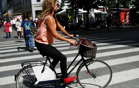 3 Hours Small Group Biking Tour in Copenhagen