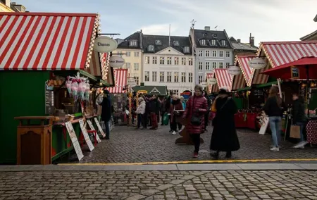 Christmas Magic in Copenhagen - Private Walking Tour