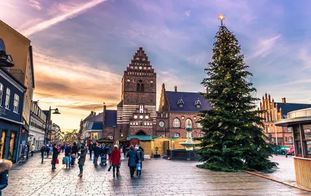 Christmas Charms of Roskilde - Private Walking Tour