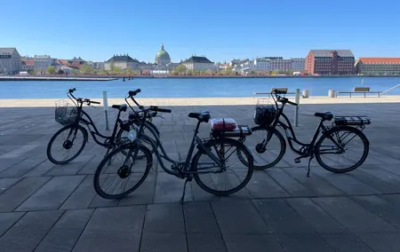 2.5 Hours E-Bike Christmas Tour in Copenhagen