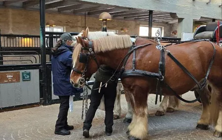 Carlsberg City Tour to Place Where The Danish Beer Was Born