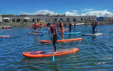 Stand Up Paddleboard Rental at Amager Beach
