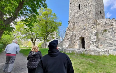 Viking History, Runes & Countryside 9h Tour to Sigtuna & Uppsala
