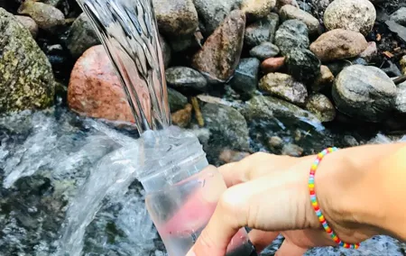 Forestbathing Slow Walking and Healing Spring Water, Stockholm