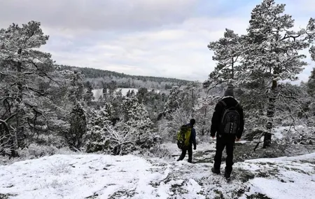 1-Day Small-Group Stockholm Nature Hiking