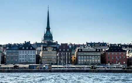 Private Car Tour of Stockholm with a Live guide, including the Vasa museum.