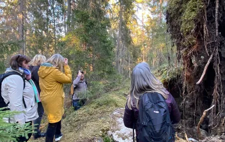 Wolf and Wildlife Tracking in Sweden