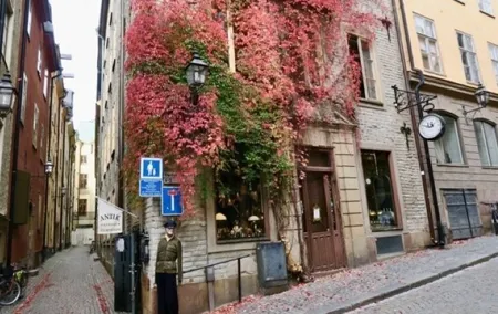 Stockholm Private Group Walking Tour | 3 Hours