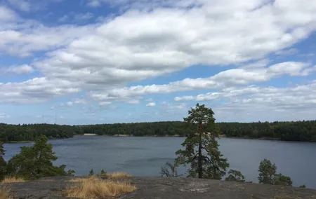 Stockholm Hiking Tour: Explore Hellasgården & Forest Trails
