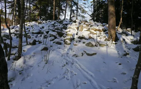 Bronze Age Landscape Remains 3h Tour from Stockholm (Private)
