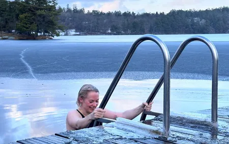 Sauna, Icebathing and Swedish Julbord - Christmas Buffé