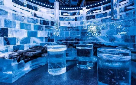 Private Tour of Stockholm with a visit to the Absolute ice bar