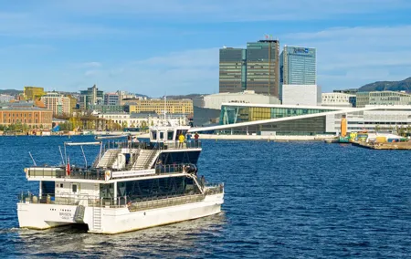 Guided Sightseeing Cruise on Oslofjord by Premium Silent Boat