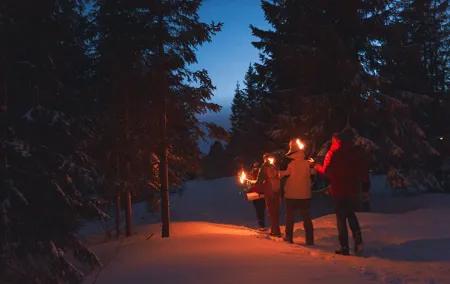 Winter Forest Walk and Campfire by Torchlight in Oslo
