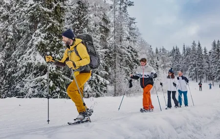 Snowshoe tour in Winter Wonderland - Oslo