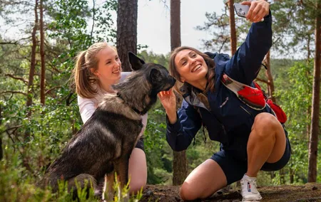 Husky Guided Forest Walk & Cabin Snack Break