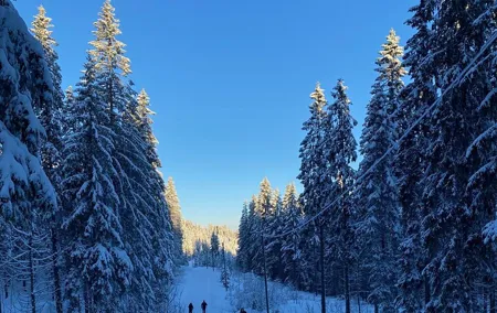 Oslo Cross-Country Skiing with Fireside “Kos”