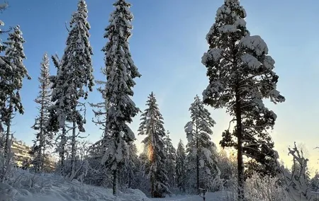 Top of Oslo Snowshoe Tour