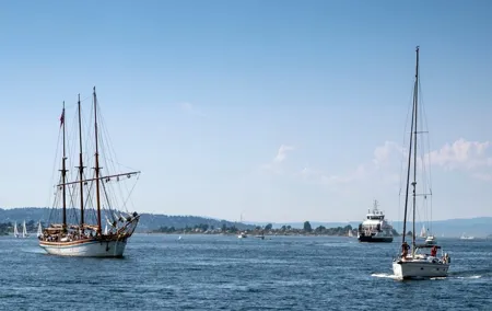 Oslo Old Town Walking Tour and Fjord Cruise Tickets