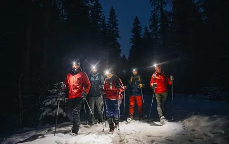 Mystery Nocturne Walk with Headlamps