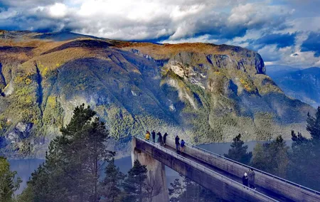 1Day Tour from Bergen to Flåm, Nærøyfjord Cruise & Stegastein