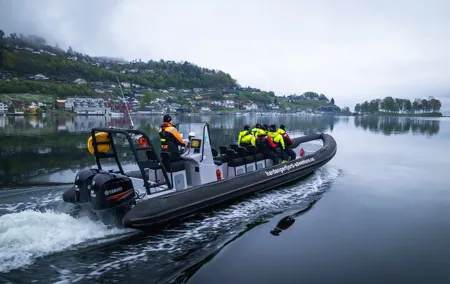 Scenic Hardangerfjord & Fyksesund RIB adventure from Norheimsund