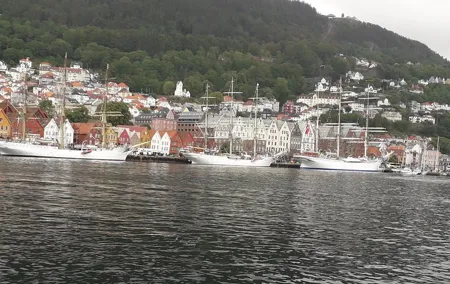 Walking tour: Medieval Spirit of Bergen + sweet Arctic gifts