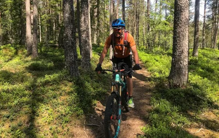 Mountain Bike - Voss Forest