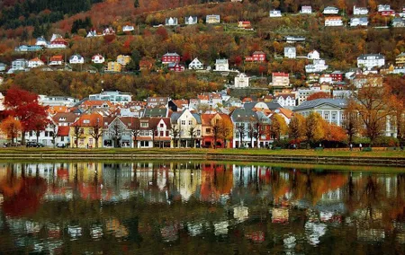 Bergen Private Walking Tour with a Local