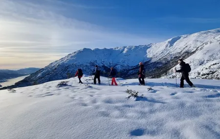 Snowshoe hiking in Bergen - Public tour