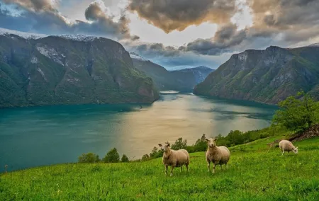 PRIVATE GUIDED TOUR: Norway's Highlights–Viking Special, 11 h