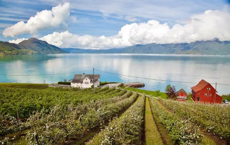 AMAZING HARDANGER: Private round trip with Fjord Cruise – from Bergen, 11 hours