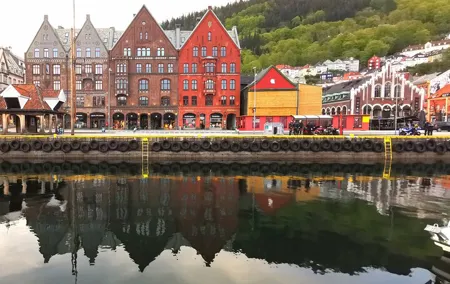 Private Guided Tour of Bergen with Transportation