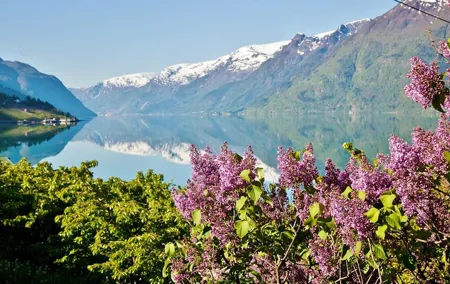AMAZING HARDANGER FJORD: Private guided round trip from Bergen, 10 hours