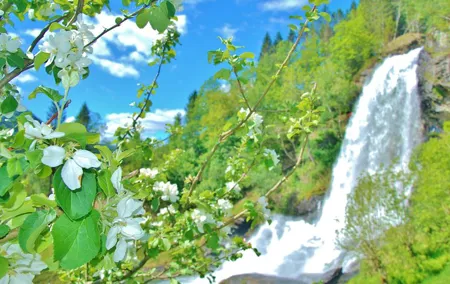 HARDANGER FJORD AND VOSS: Short private roundtrip, 8-9 hours