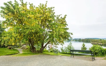 Private Tour Edvard Grieg House in Bergen