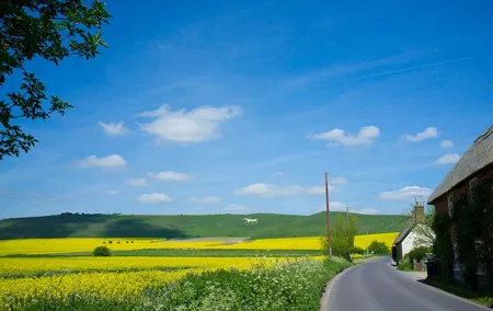 Private Tour of Quintessential Wiltshire and Cotswold Villages