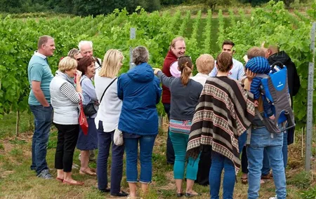 Wine Tasting & Vineyard Experience with Lunch for 10 People