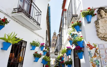 Mosque-Cathedral, Alcazar & Jewish Quarter with Tickets