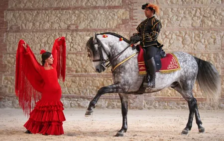 Equestrian Show Royal Stables of Córdoba