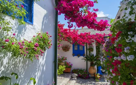 Cordoba's Authentic Patios: 2-Hour Tour with Tickets