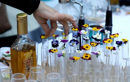 Olive Oil tasting breakfast & Tour in Cordoba