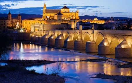 Cordoba Private Custom Walking Tour With A Guide (Private Tour)